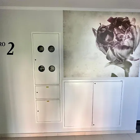 Vintage Exclusive Series Ii